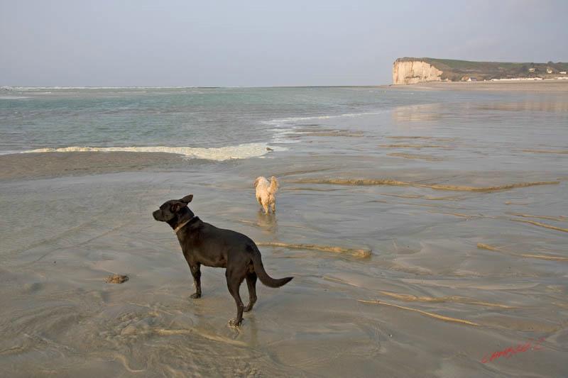 Cjp_2010_04_14_173759 (1).jpg